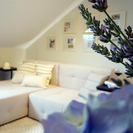 Petite Grey Apartment With Free Private Parking Zagreb Buitenkant foto