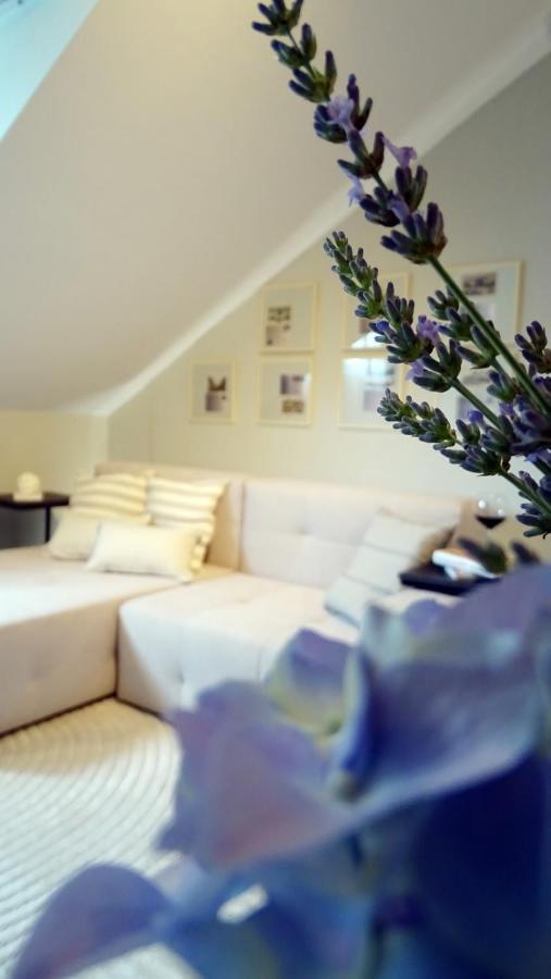 Petite Grey Apartment With Free Private Parking Zagreb Buitenkant foto
